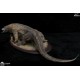 Museum Series Komodo Dragon 1/4 scale Statue